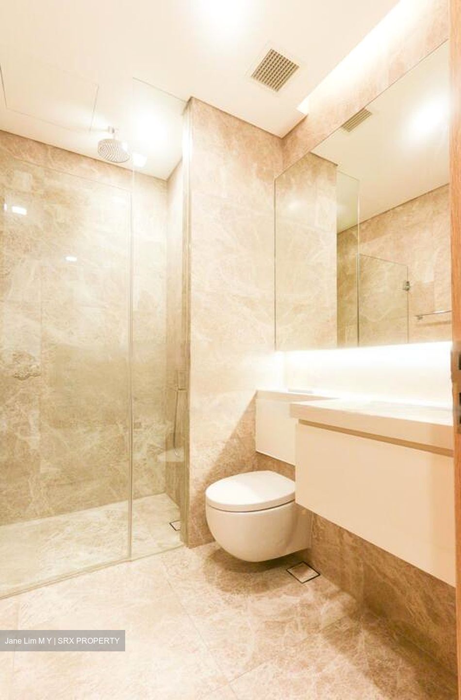 The Laurels (D9), Condominium #460674551